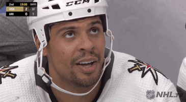 每日GIF(2020-08-08)的gif-Ice Hockey Smile GIF by NHL