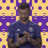 每日GIF(2020-08-08)的gif-Orlando City GIF by Major League Soccer