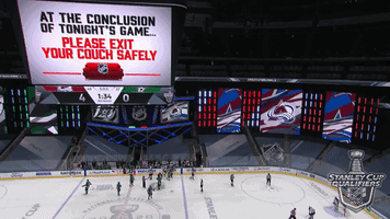 每日GIF(2020-08-09)的gif-Ice Hockey GIF by NHL
