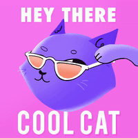 每日GIF(2020-08-09)的gif-Greeting Cool Cat GIF by GIPHY Studios Originals