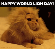 每日GIF(2020-08-11)的gif-August 10 GIF by GIFiday
