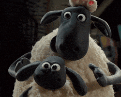 每日GIF(2020-08-12)的gif-Sheep Silence GIF by STUDIOCANAL France