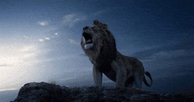 每日GIF(2020-08-12)的gif-The Lion King GIF by Walt Disney Studios