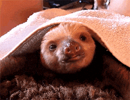 每日GIF(2020-08-14)的gif-Tired This Is Me GIF