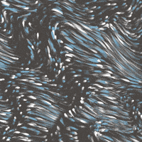 每日GIF(2020-08-15)的gif-Loop Australia GIF by xponentialdesign