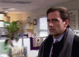 每日GIF(2020-08-15)的gif-The Office Reaction GIF