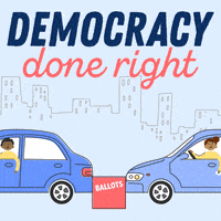 每日GIF(2020-08-15)的gif-Democracy Voting GIF by Alliance for Youth Action