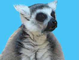 每日GIF(2020-08-15)的gif-Surprise Reaction GIF by Muta Bor Studio