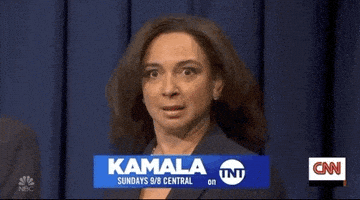 每日GIF(2020-08-16)的gif-Maya Rudolph Snl GIF by Saturday Night Live