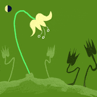 每日GIF(2020-08-16)的gif-GIF by Miranda Javid