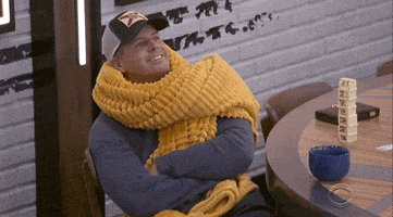 每日GIF(2020-08-17)的gif-Psl Season Fall GIF by Big Brother