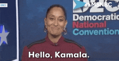 每日GIF(2020-08-19)的gif-Demconvention GIF by MSNBC