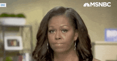 每日GIF(2020-08-19)的gif-Michelle Obama Dnc GIF by MSNBC