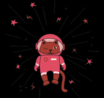 每日GIF(2020-08-20)的gif-Cat Stars GIF by Z8official