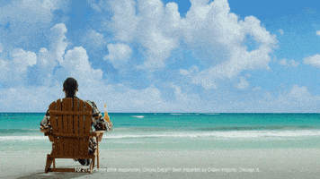 每日GIF(2020-08-20)的gif-Snoop Dogg GIF by Corona USA
