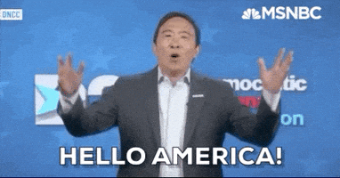 每日GIF(2020-08-21)的gif-Andrew Yang GIF by MSNBC