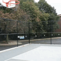每日GIF(2020-08-21)的gif-You Can Do It Basketball GIF