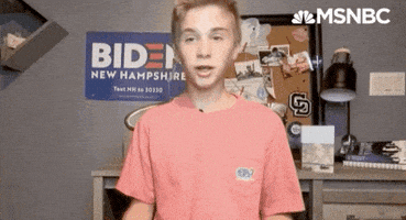 每日GIF(2020-08-22)的gif-Dnc GIF by MSNBC