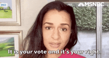 每日GIF(2020-08-22)的gif-Dnc GIF by MSNBC