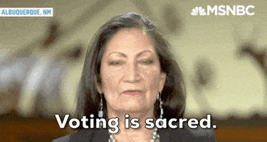 每日GIF(2020-08-22)的gif-Deb Haaland Dnc GIF by MSNBC
