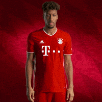每日GIF(2020-08-24)的gif-New Jersey King GIF by FC Bayern Munich