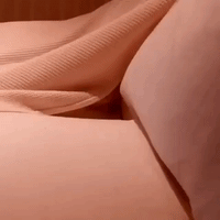 每日GIF(2020-08-24)的gif-Aww Cute Animals GIF