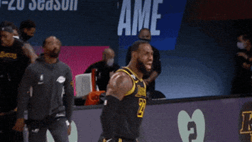 每日GIF(2020-08-25)的gif-Lebron James Yes GIF by NBA