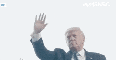 每日GIF(2020-08-25)的gif-Donald Trump GIF by MSNBC