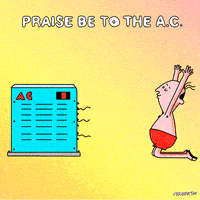 每日GIF(2020-08-26)的gif-Animation Domination Summer GIF by gifnews