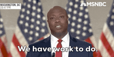 每日GIF(2020-08-26)的gif-Rnc We Have Work To Do GIF by MSNBC