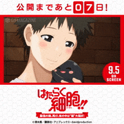 TVアニメ「はたらく細胞!!」【公式】的gif的gif-公開まであと7日！