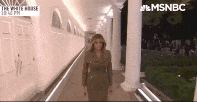每日GIF(2020-08-27)的gif-Melania Trump Rnc GIF by MSNBC