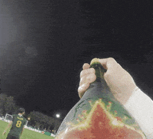 每日GIF(2020-08-29)的gif-Portland Timbers Win GIF by Major League Soccer