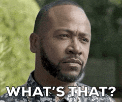 每日GIF(2020-08-29)的gif-Columbus Short Influence GIF by BET Plus