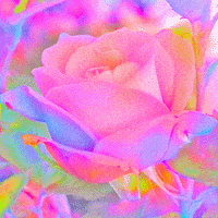 每日GIF(2020-08-29)的gif-Lisa Frank Love GIF by Anne Lee