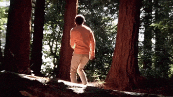 每日GIF(2020-08-29)的gif-Toro Y Moi Dancing GIF