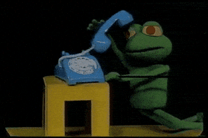 每日GIF(2020-08-31)的gif-Meme Reaction GIF by Tyler