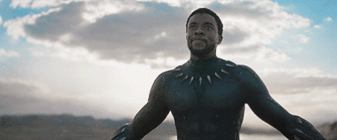 每日GIF(2020-08-31)的gif-Black Panther Movie GIF