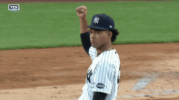 每日GIF(2020-08-31)的gif-Sport Baseball GIF by YES Network
