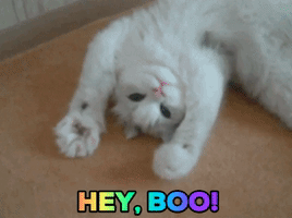 每日GIF(2020-08-31)的gif-Hey Babe GIF by MOODMAN