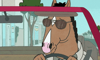 每日GIF(2020-08-31)的gif-Sunglasses Horse GIF by MOODMAN