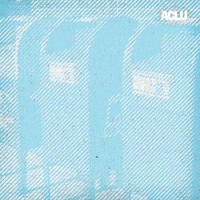 每日GIF(2020-09-03)的gif-Election Voting GIF by ACLU