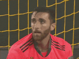 每日GIF(2020-09-04)的gif-No Way Ugh GIF by Major League Soccer