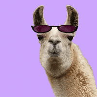 每日GIF(2020-09-04)的gif-Sunglasses Reaction GIF by Muta Bor Studio