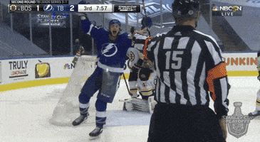 每日GIF(2020-09-05)的gif-Ice Hockey GIF by NHL
