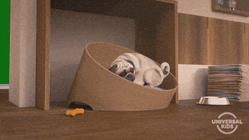 每日GIF(2020-09-05)的gif-Its Friday Animation GIF by Universal Kids