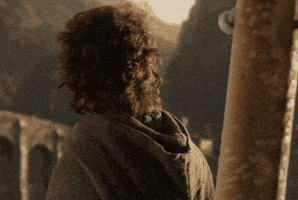每日GIF(2020-09-06)的gif-Happy Lord Of The Rings GIF by MOODMAN