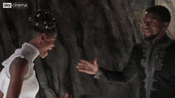 每日GIF(2020-09-06)的gif-Black Panther Fist Bump GIF by Sky