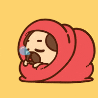 每日GIF(2020-09-06)的gif-Tired Sleep GIF by Puglie Pug