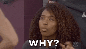 每日GIF(2020-09-14)的gif-Why GIF by Big Brother
